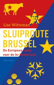Sluiproute Brussel (Paperback)