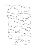 HEMA Lichtsnoer 12.42m met 100 LED lampjes voor binnen en buiten (wit)