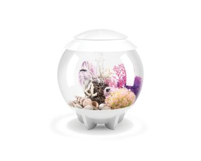 biOrb Halo 15 MCR wit - Oase