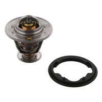 Thermostaat 17355