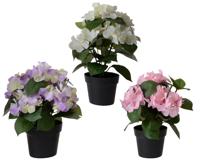 Hortensia polyester l25b25h24 cm a6 - Everlands