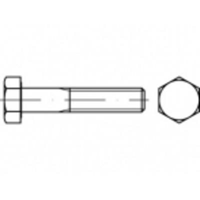TOOLCRAFT TO-9982833 Zeskantbout M18 220 mm Buitenzeskant Staal Galvanisch verzinkt 10 stuk(s)