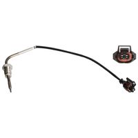 Uitlaatgastemperatuursensor 170507