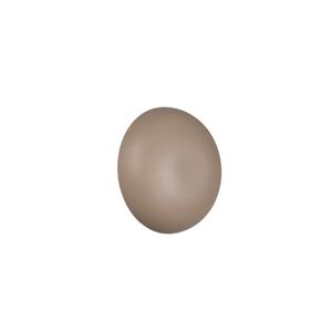 Trio Crème wandlampDavey Ø 15cm - R24431143