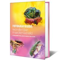 Fotografiegids wonderlijke insectenwereld