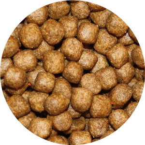 Pond Pro Super Grower - Eiwitrijk Koi Voer 6mm Korrels, Optimaal voor Groei, 5kg