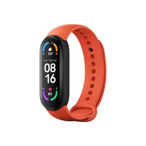 Gift Wristband MI Band 6