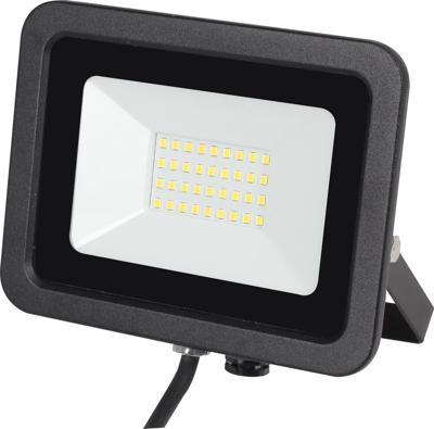 Reled Led buitenschijnwerperAssist 30W - 2700 lm - RELED494521