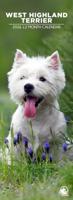 West Highland White Terrier Slimline Kalender 2026