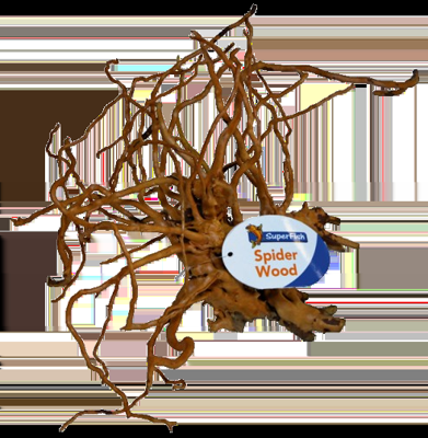 Superfish Spiderwood medium