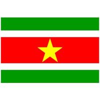 Multipak van 2x stuks mini vlag Suriname 60 x 90 cm