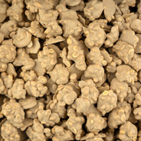 ambachtelijke pindarotsjes karamel 400 gram