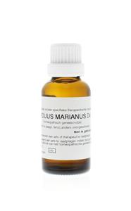 Carduus marianus D4