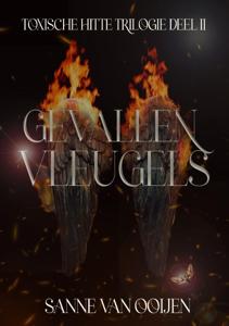 Gevallen vleugels (Paperback)