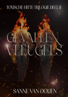 Gevallen vleugels (Paperback)