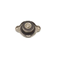 Radiatordop ADC49909