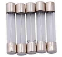 Dresselhaus Glass fuses 6.3x30 10a f. japanese vehicles.