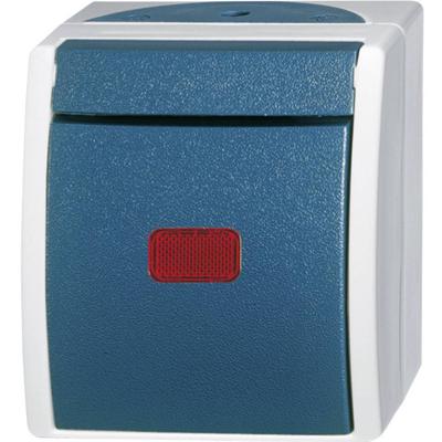 Busch-Jaeger 2601/6 SKW-53 Ocean (opbouw) Wisselschakelaar, Controleschakelaar spatwaterdicht Blauw, Groen