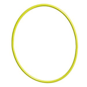 Canon CY4-4517-000 O-Ring voor WP-DC-48