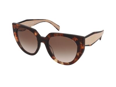 Zonnebrillen Prada PR 14WS 01R0A6