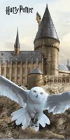 Harry Potter Strandlaken - Hedwig- 70 x 140 cm