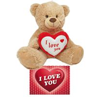 Bruine pluche knuffelbeer/teddybeer 45 cm incl. Valentijnskaart I Love You