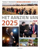 Het aanzien van 2025