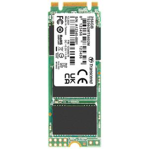 Transcend MTS602M 256 GB SATA M.2 SSD 2260 harde schijf SATA III Industrial TS256GMTS602M