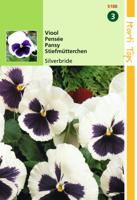 Zaden Viola Viool Silverbride Hortitops - Hortitops