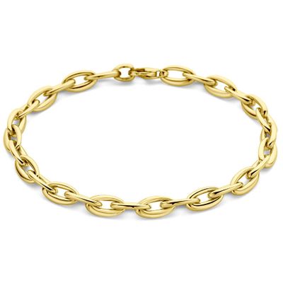 Armband Ankerschakel geelgoud 5,5 mm 19 cm