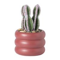 Cactus in pot laag - ø9x14.5 cm - thumbnail
