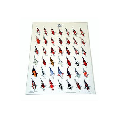 Koiposter Nr.1 Gelamineerd - 68 x 90 cm