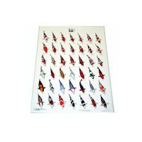 Koiposter Nr.1 Gelamineerd - 68 x 90 cm