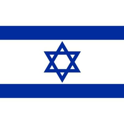 Vlag van Israel stickers - 10x - 7.5 x 10 cm - Binnen/buiten