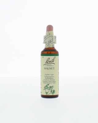 Walnut/walnoot 20 Milliliter