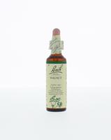 Walnut/walnoot 20 Milliliter