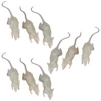 Nep ratten 7 cm - glow in the dark - 9x stuks - Horror/griezel thema decoratie dieren