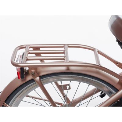 Alpina achterdrager 22 clubb rose gold matt