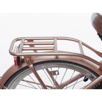 Alpina achterdrager 22 clubb rose gold matt