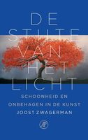 De stilte van het licht - Joost Zwagerman - ebook