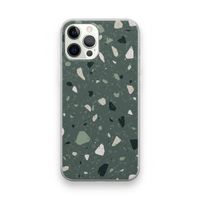 Terrazzo N°19: iPhone 12 Pro Transparant Hoesje