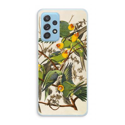 Carolinaparkiet: Samsung Galaxy A73 Transparant Hoesje