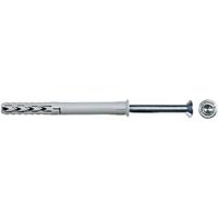 Fischer 46274 SXR 10 x 100 T A4 Constructie plug 100 mm 10 mm 50 stuk(s)
