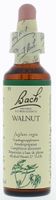 Bach Flower Remedies Walnoot 33 Bach Flower Remedies Walnoot 33
