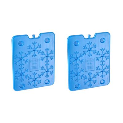 Plat groot koelelement - 2x - blauw - kunststof - 800 ml - 25 x 32 cm