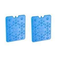 Plat groot koelelement - 2x - blauw - kunststof - 800 ml - 25 x 32 cm