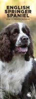 Engelse Springer Spaniel Slimline Kalender 2026