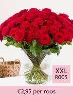 Rode rozen - Kies je aantal (Red Naomi) - 10 t/m 99 rozen - XXL rozen 65 cm