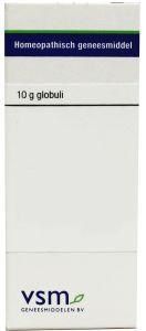 VSM Ginkgo biloba D3 (10 gr)