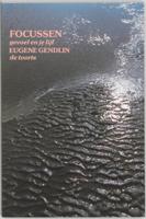 Focussen (Paperback)